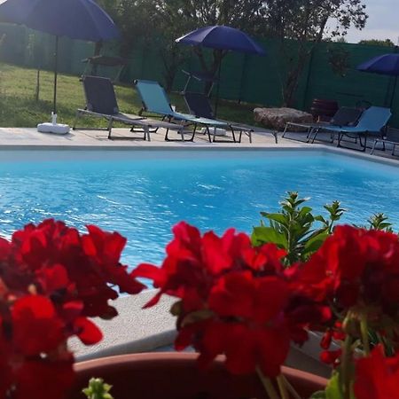 Holiday Home Dioniza Vodnjan Zewnętrze zdjęcie