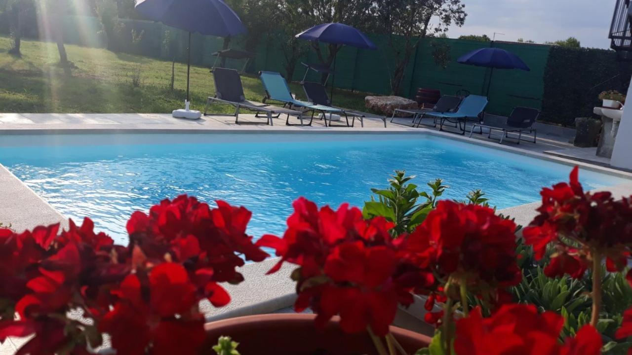 Holiday Home Dioniza Vodnjan Zewnętrze zdjęcie
