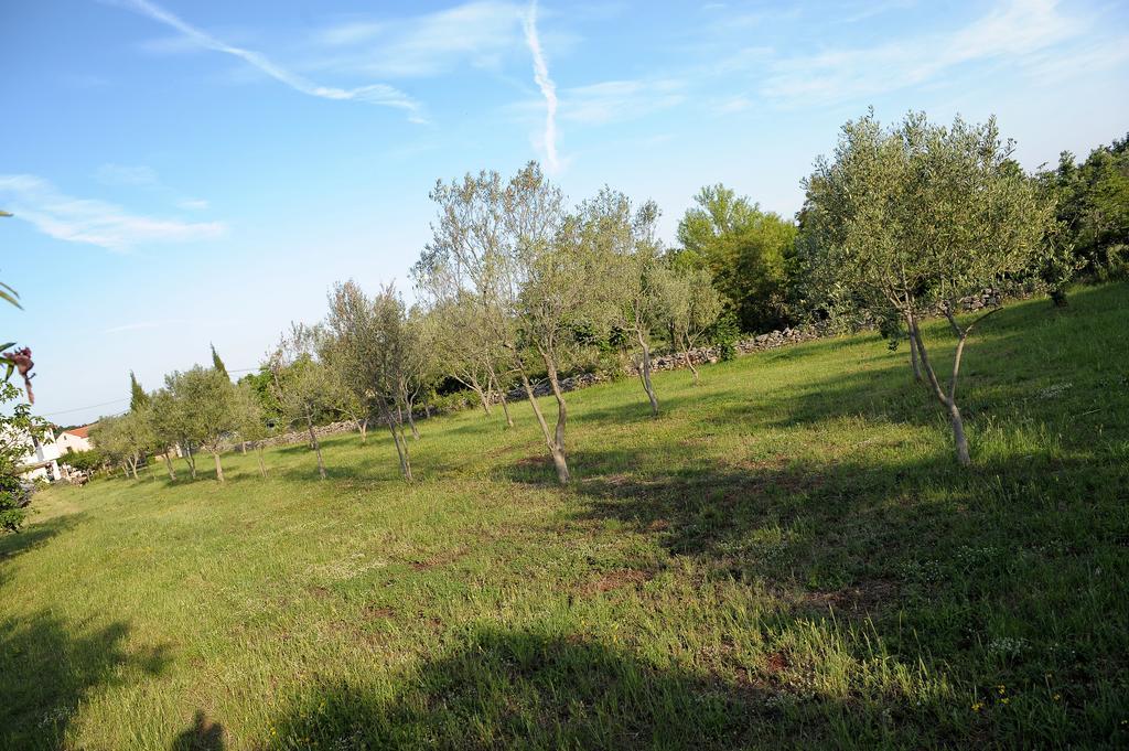Holiday Home Dioniza Vodnjan Pokój zdjęcie